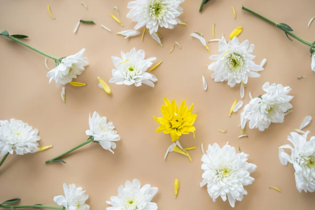 Affinity bias definition - indicators