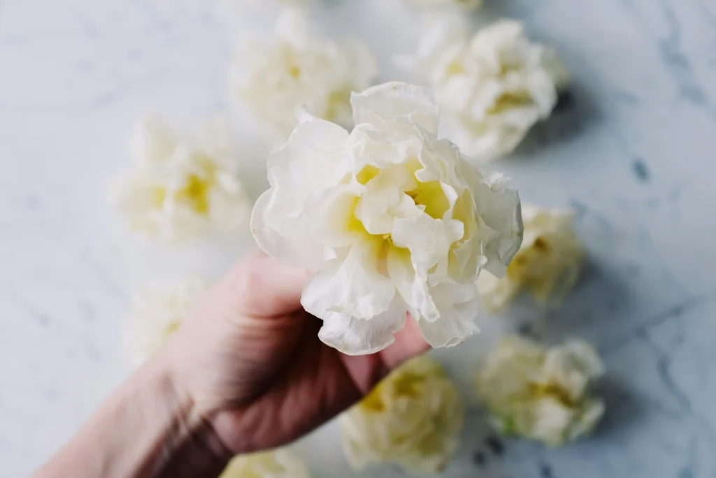 affinity bias - referrals