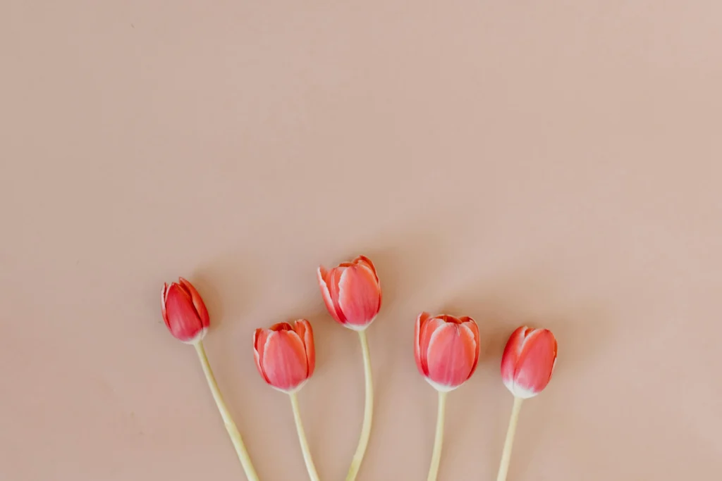 affinity bias - structured interview